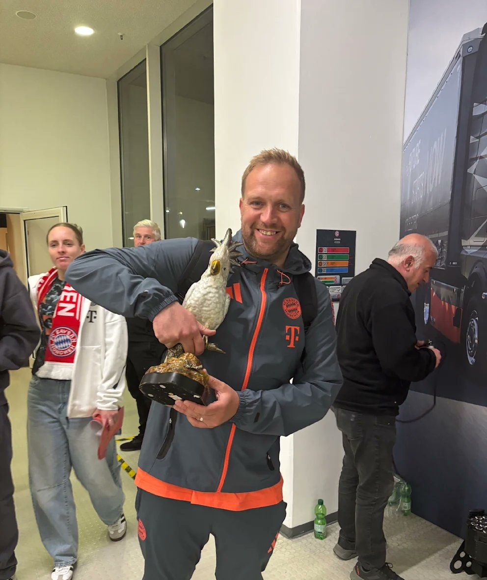 鹦鹉被拜仁‘偷’走？餐厅老板：希望它能永远留在拜仁并带来好运