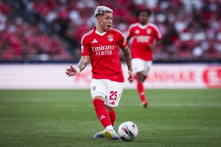 本菲卡前锋：我每次训练都拼尽全力，以争取在比赛中获得出场机会